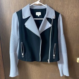 Aritzia Wilfred jacket